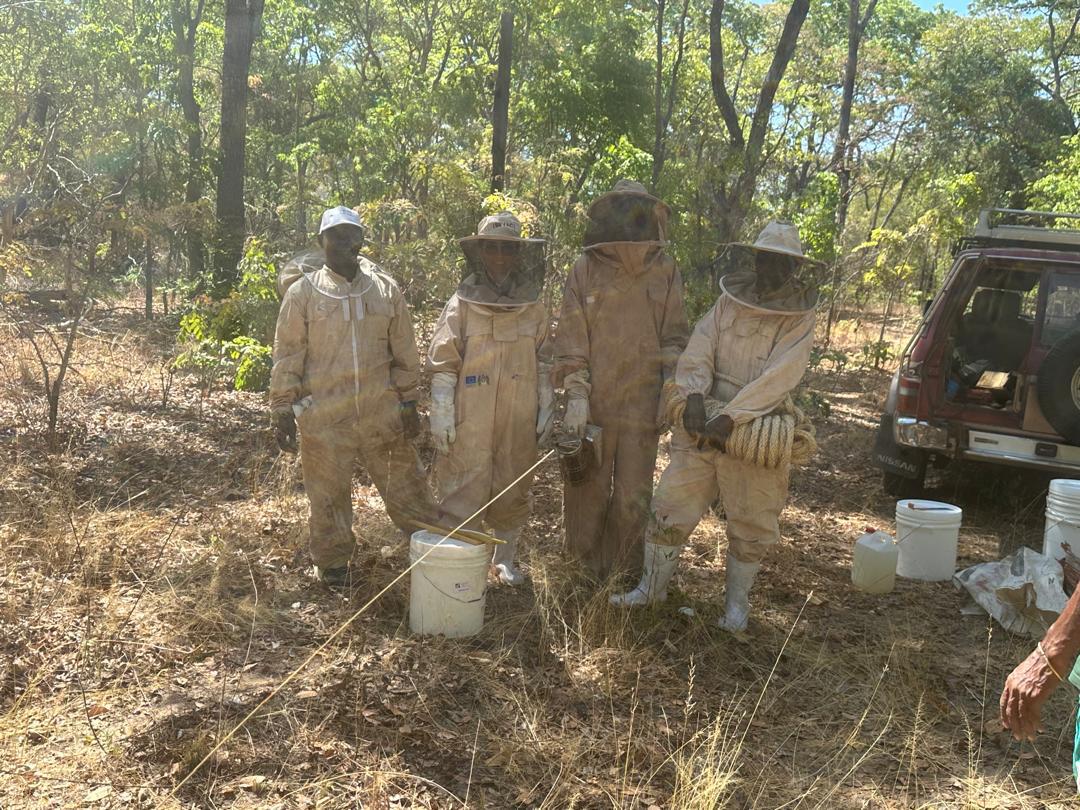 Four QVC Africa beekeepers in protective suits gathered in the forest