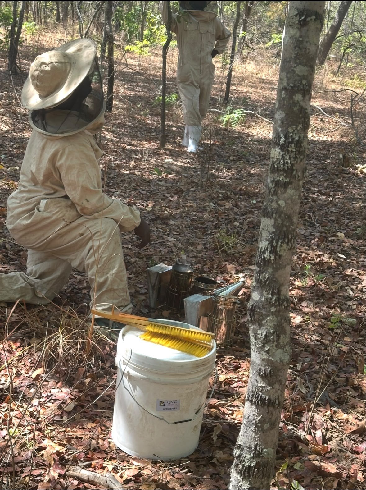 A beekeeper and equipment beneath trees in the forest